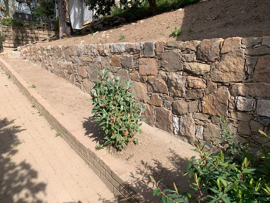 Jacuzzi Garden Project - Image 20